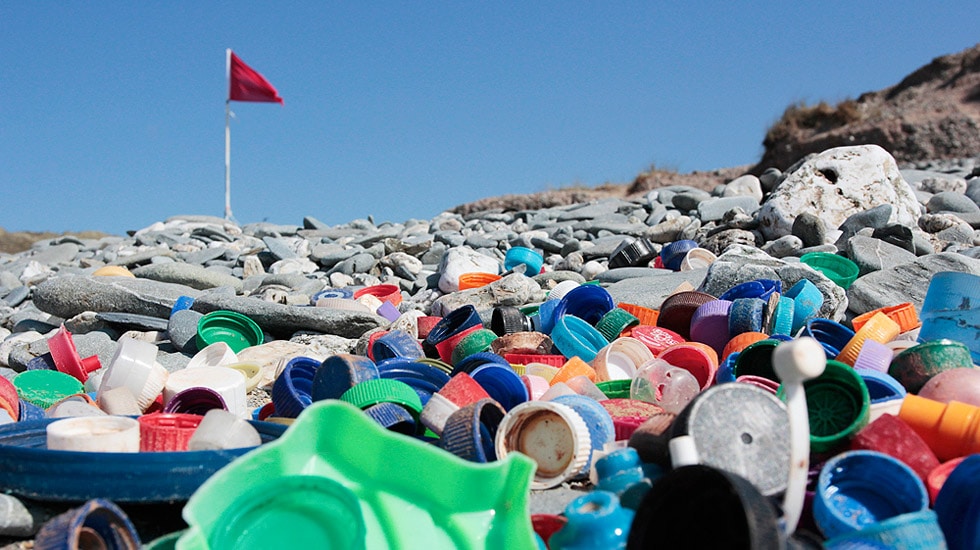 Marine litter презентация